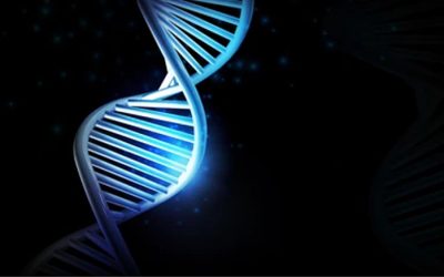 DNA Healing – Accessing Your Blue Print & Embodying Your Divine Self